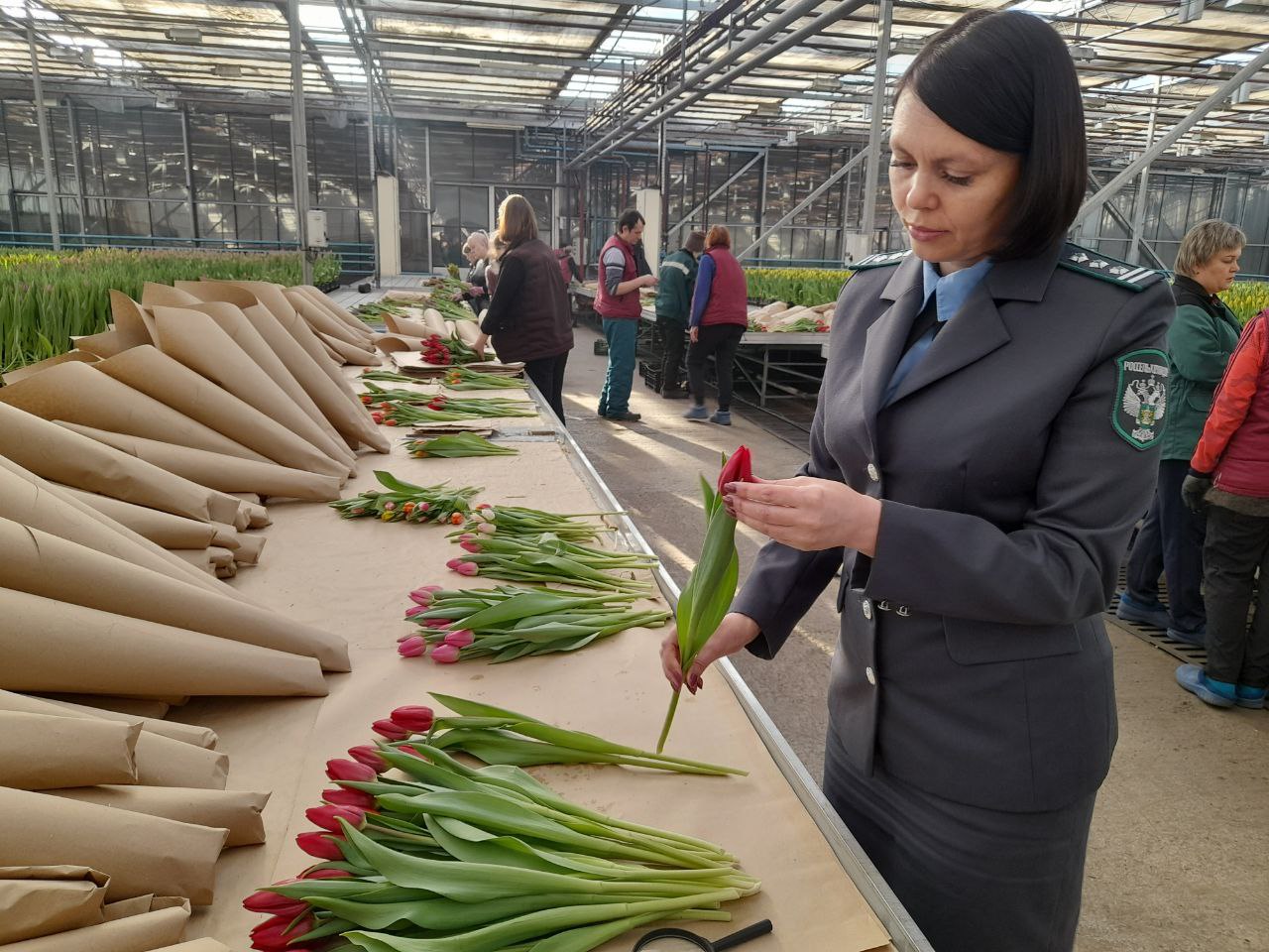 Фото пресс-службы Россельхознадзора