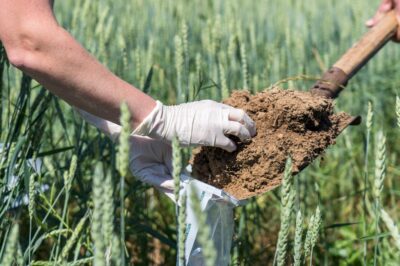 Минсельхоз пересчитает вред сельхозземлям от побочных продуктов животноводства