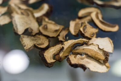 Самые популярные грибы сильнее всего накапливают радиацию — эксперты