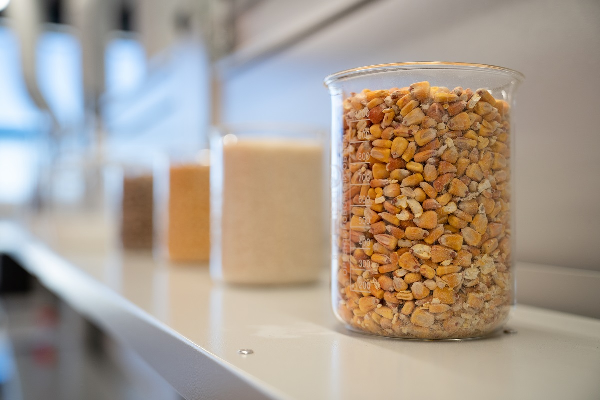 Фото: Александр Плонский / "Агроэксперт"