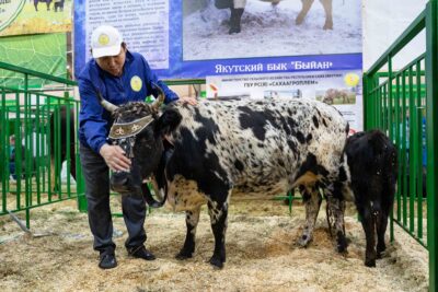 «Народный фермер» попросил власти Якутии ускорить доведение господдержки до аграриев