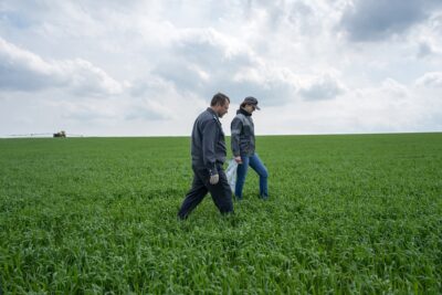 Площадь карантинных зон на сельхозземлях в России составила 27,8 млн га