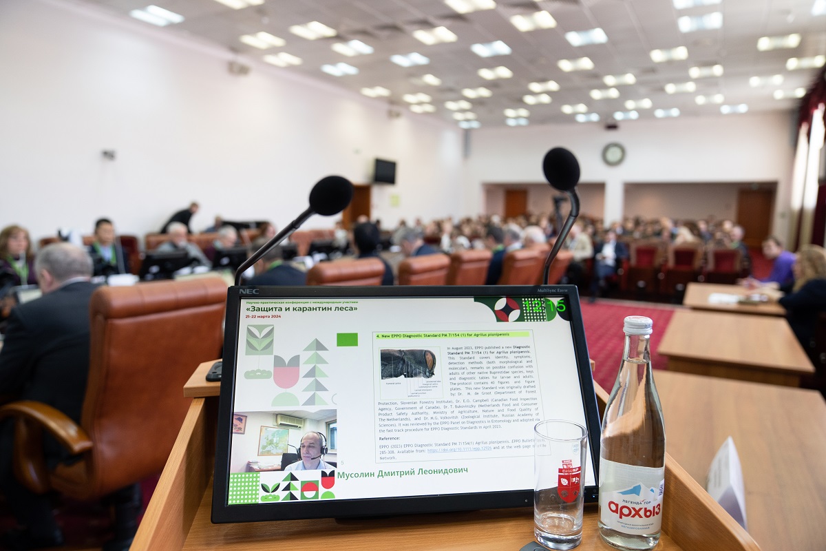 Фото: Александр Плонский / "Агроэксперт"