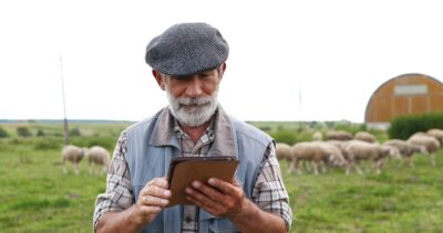 Фермеры Молдавии терпят убытки из-за поставок украинской продукции