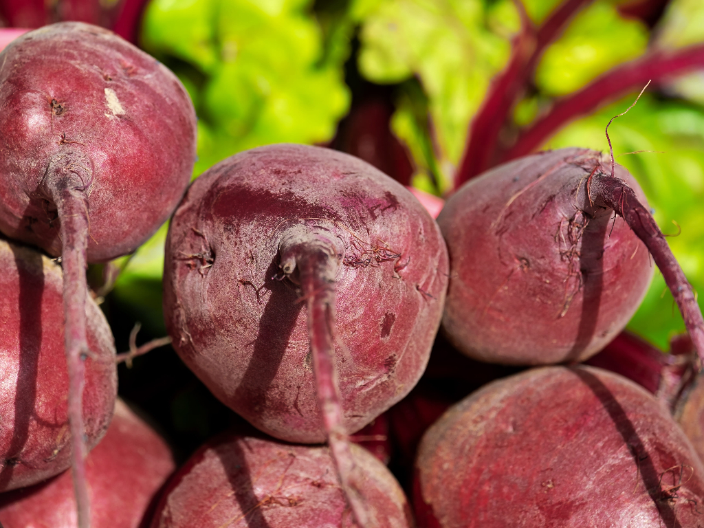 Фото: piqsels.com