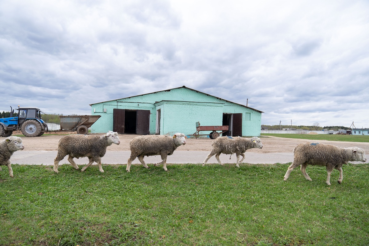 Фото: Александр Плонский / "Агроэксперт"