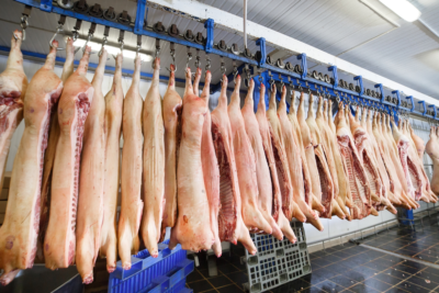 Крупнейшие импортеры свиных субпродуктов из РФ
