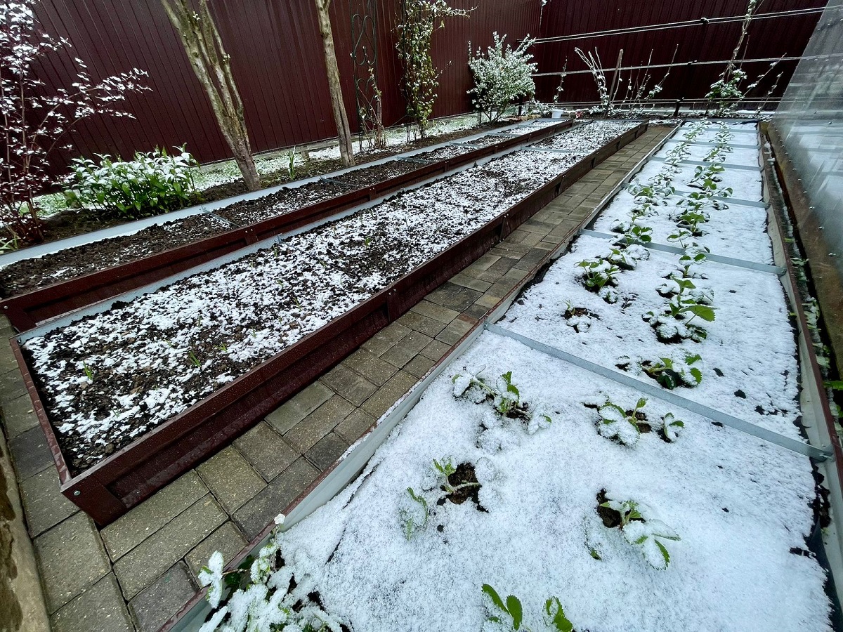 Фото: "Агроэксперт"