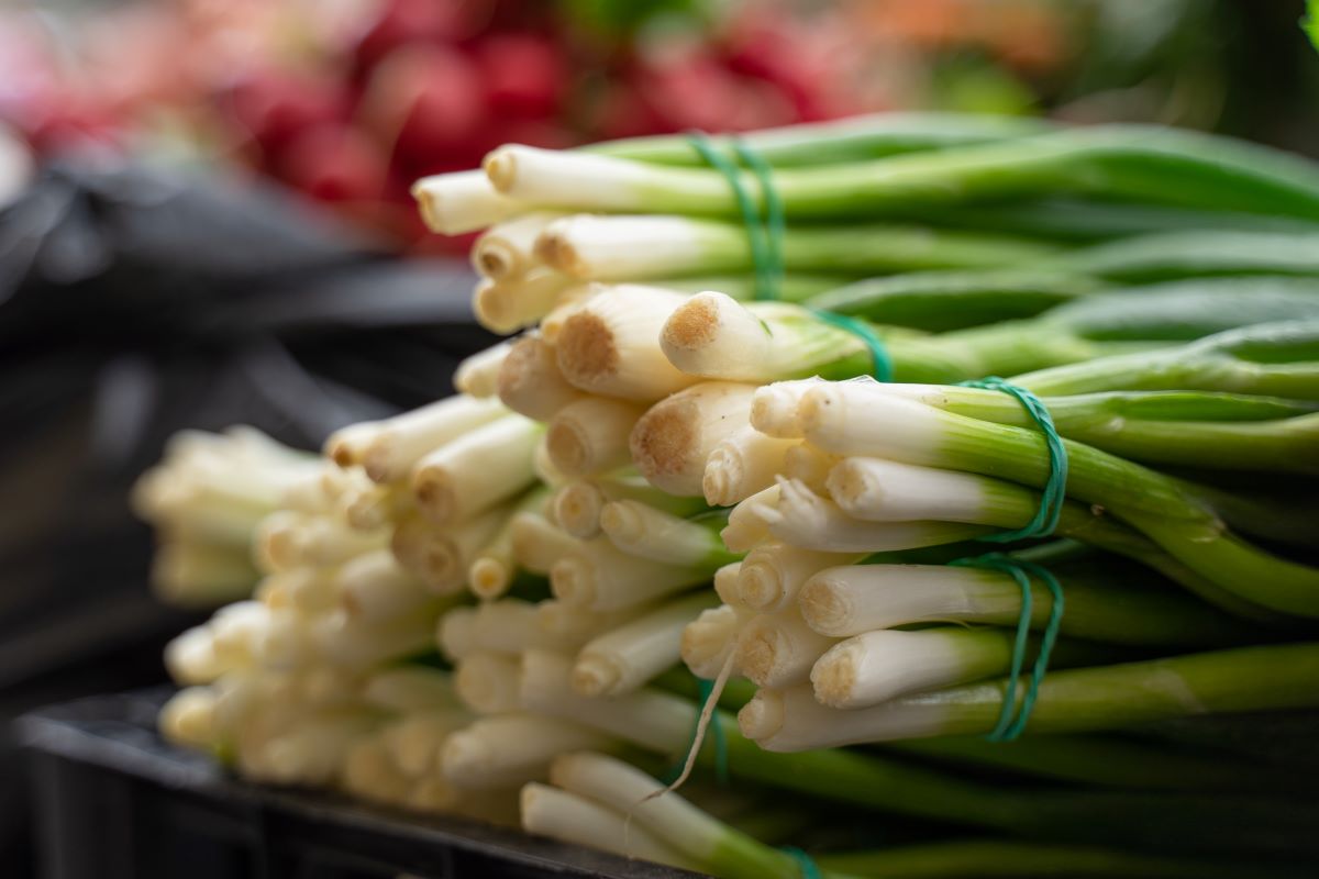 Фото: Александр Плонский / «Агроэксперт»