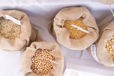 Россия в январе-июле увеличила в 1,7 раза поставки в Турцию зерна и продуктов