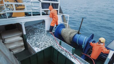 Российские рыбаки добыли больше 2 млн тонн водных биоресурсов
