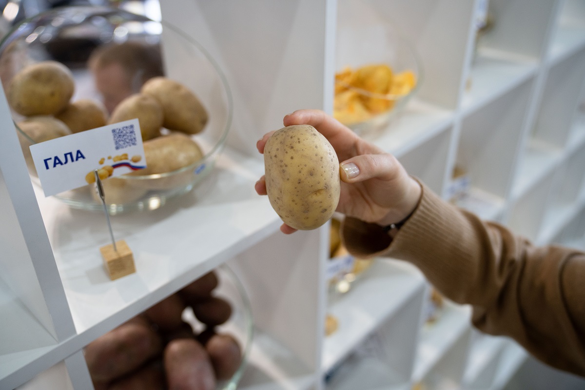 Фото: Александр Плонский / "Агроэксперт"