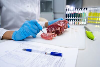 Первую в мире ферму по производству культивированного мяса открыли в Нидерландах
