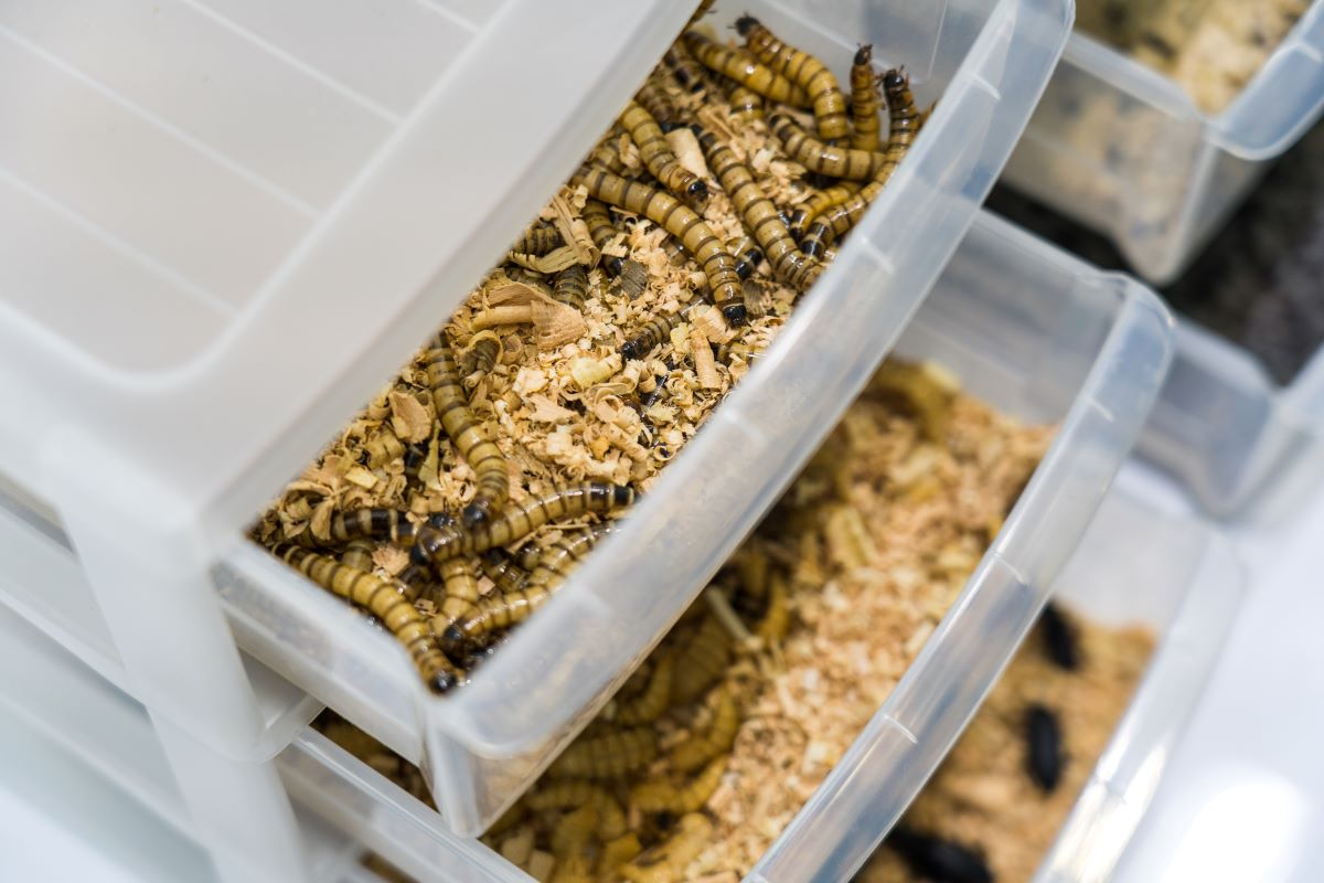 Фото: Александр Плонский / "Агроэксперт"