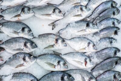 Еще одна компания РФ получила право экспорта рыбных продуктов в Бразилию