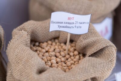 Партия нута и чечевицы из Чечни отправлена на экспорт