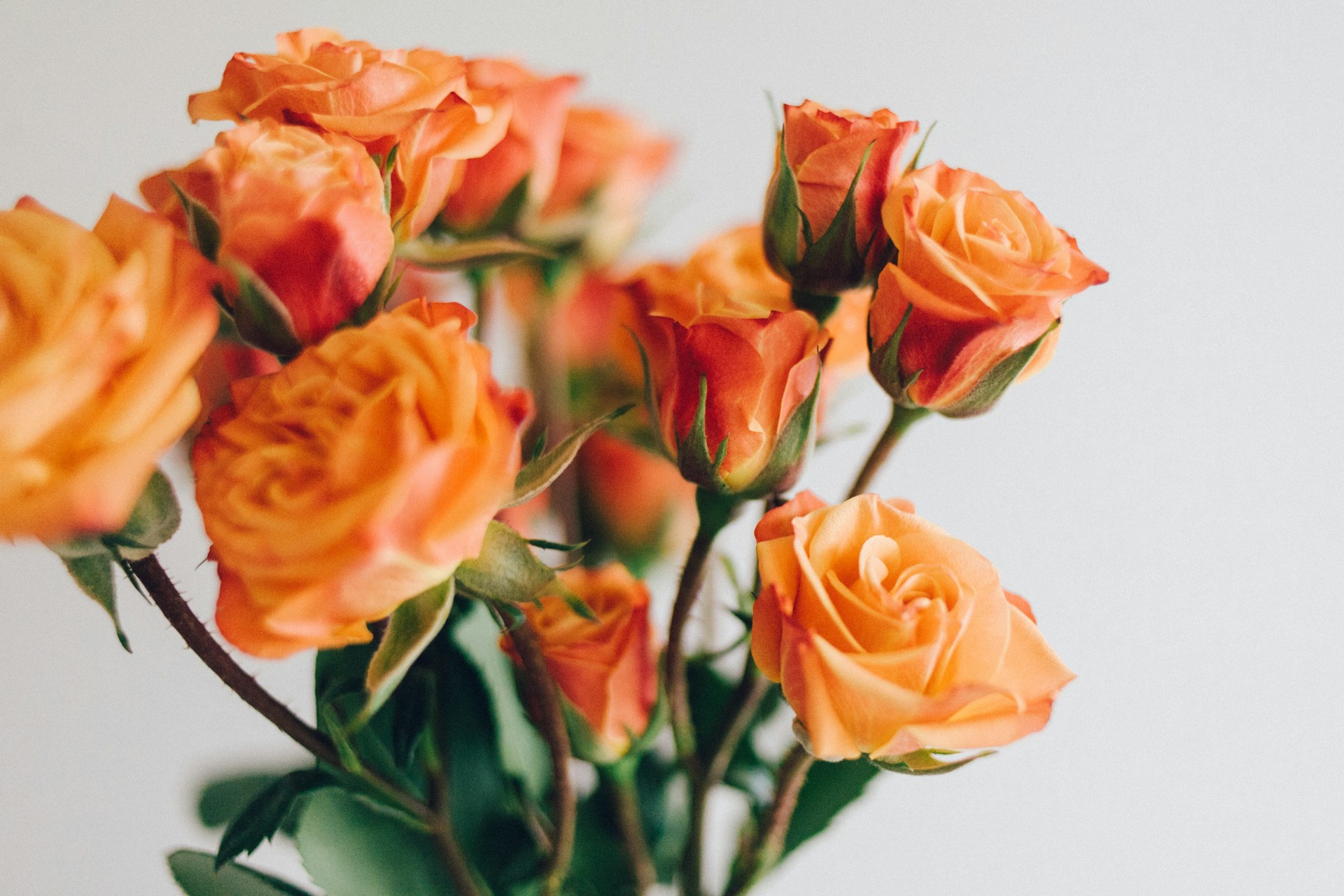 Фото: mel-pB / unsplash