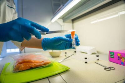 Филе акулы впервые исследовали в лаборатории во Владивостоке