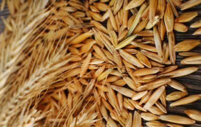 Продажи зерна из госфонда снизились в 4,6 раза, до 810 тонн