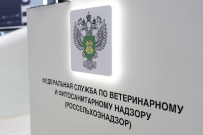 Россельхознадзор ограничил ввоз семян с документами лабораторий трех стран