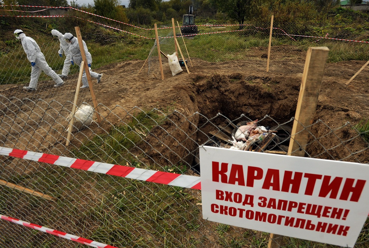Фото: ИТАР-ТАСС/ Руслан Шамуков