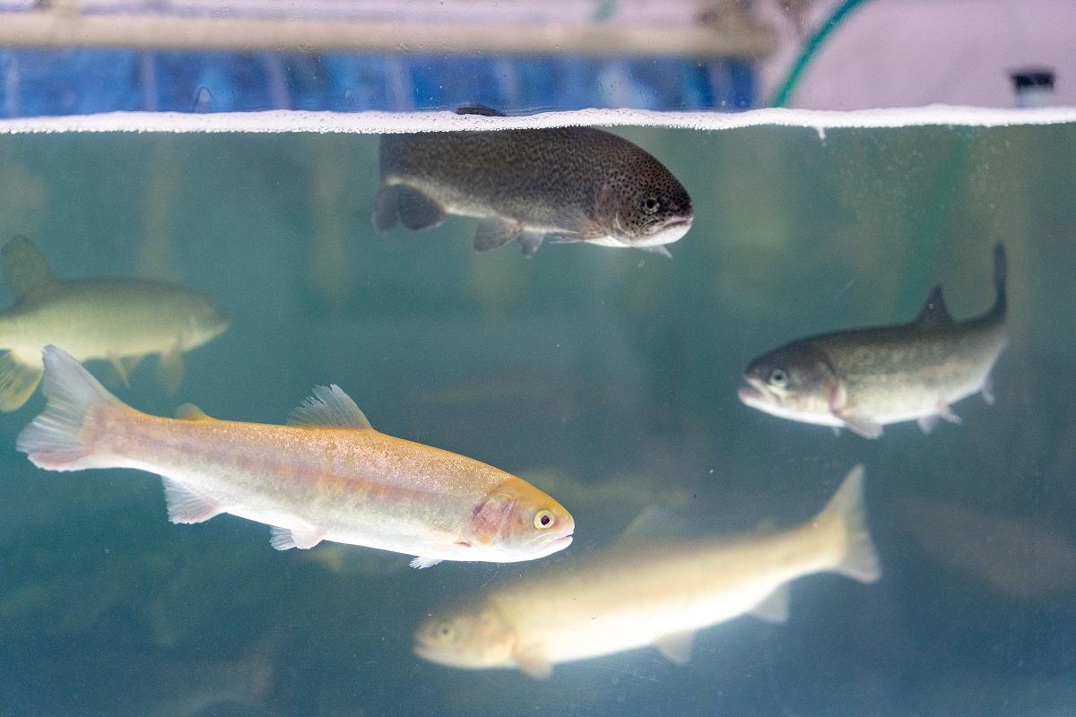 Фото: Александр Плонский / "ВиЖ"