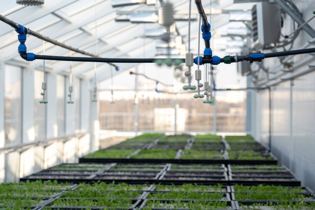 Фото: Александр Плонский / «Агроэксперт»