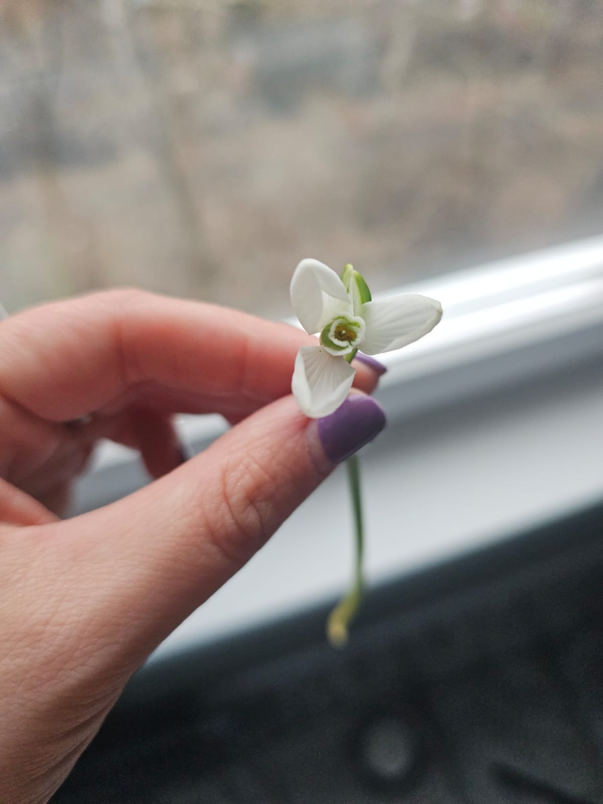 Фото: Елена Мишина / "Агроэксперт"