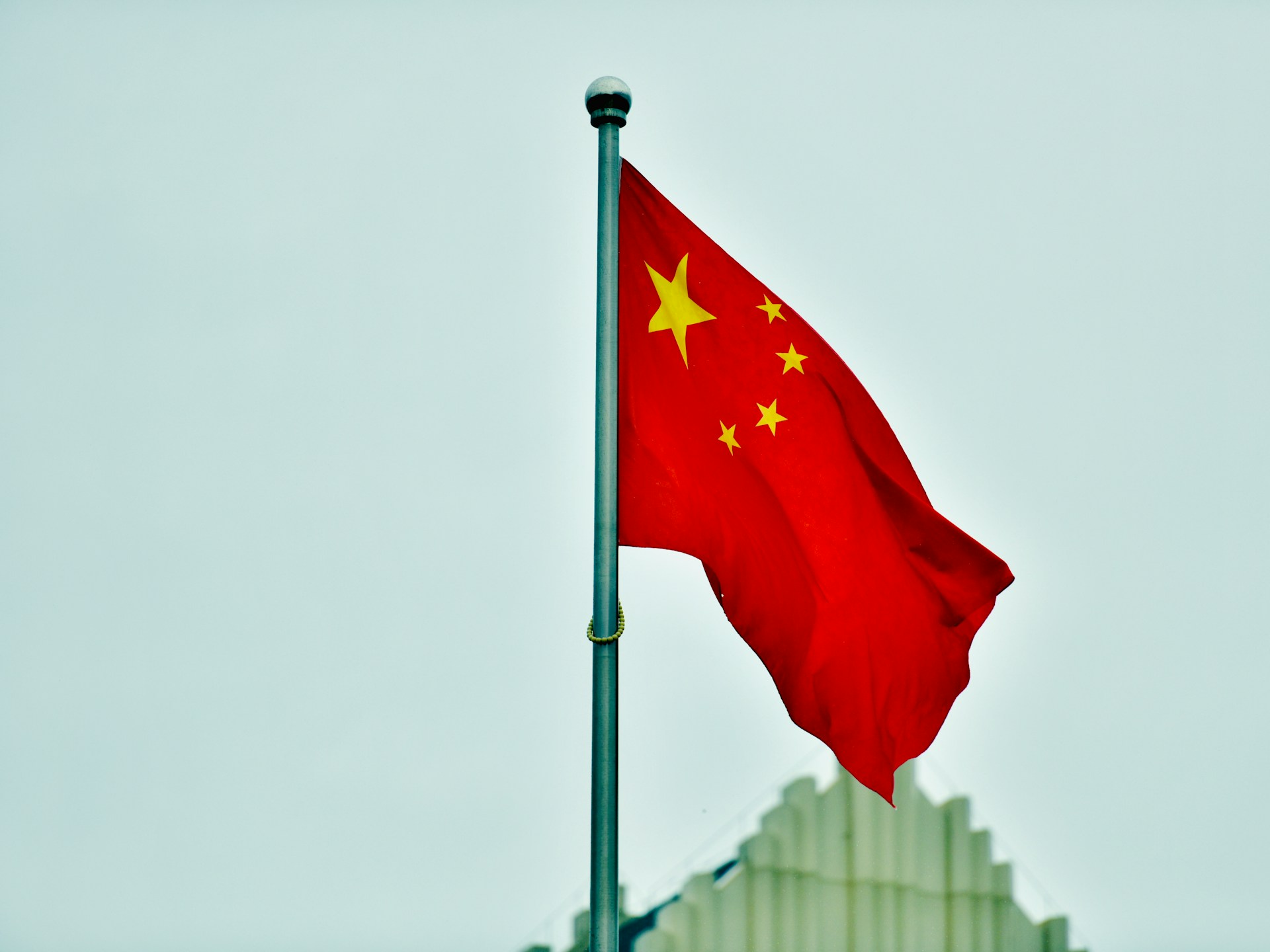 Фото: arthur-wang / unsplash