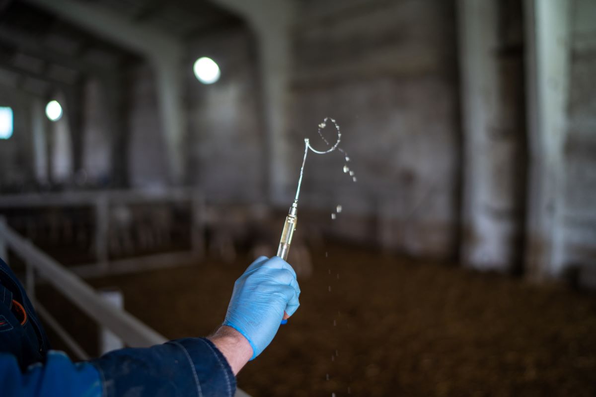 Фото: Александр Плонский / "Агроэксперт"