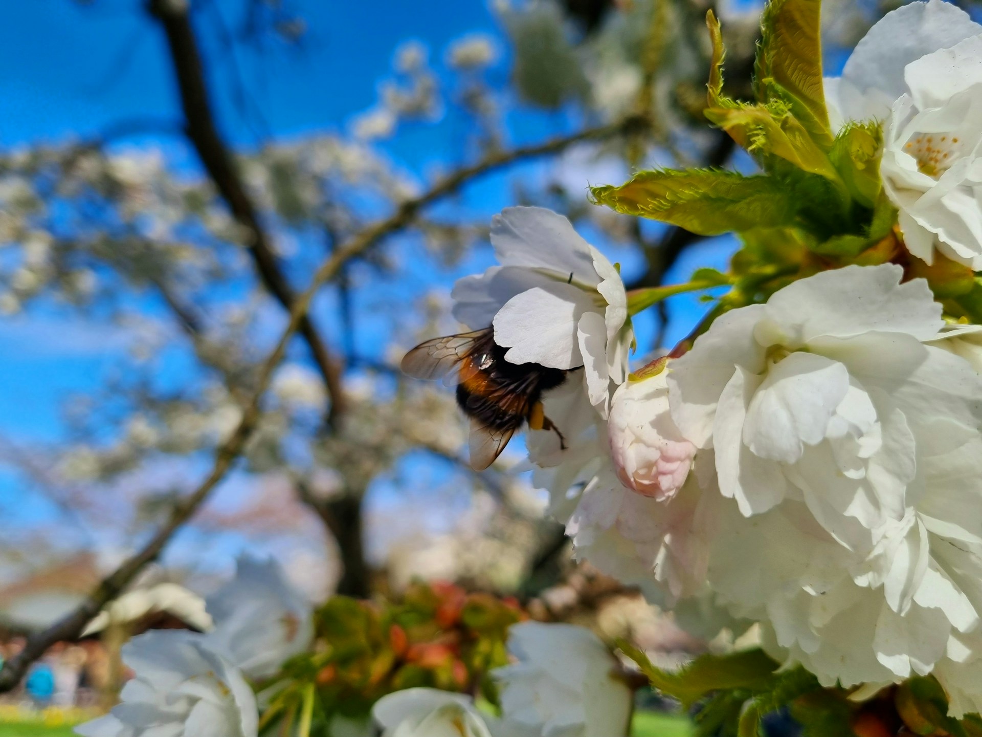 Фото: danielle-eibrink-jansen / unsplash