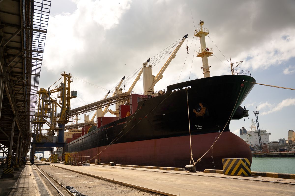 Фото: Александр Плонский / "Агроэксперт"