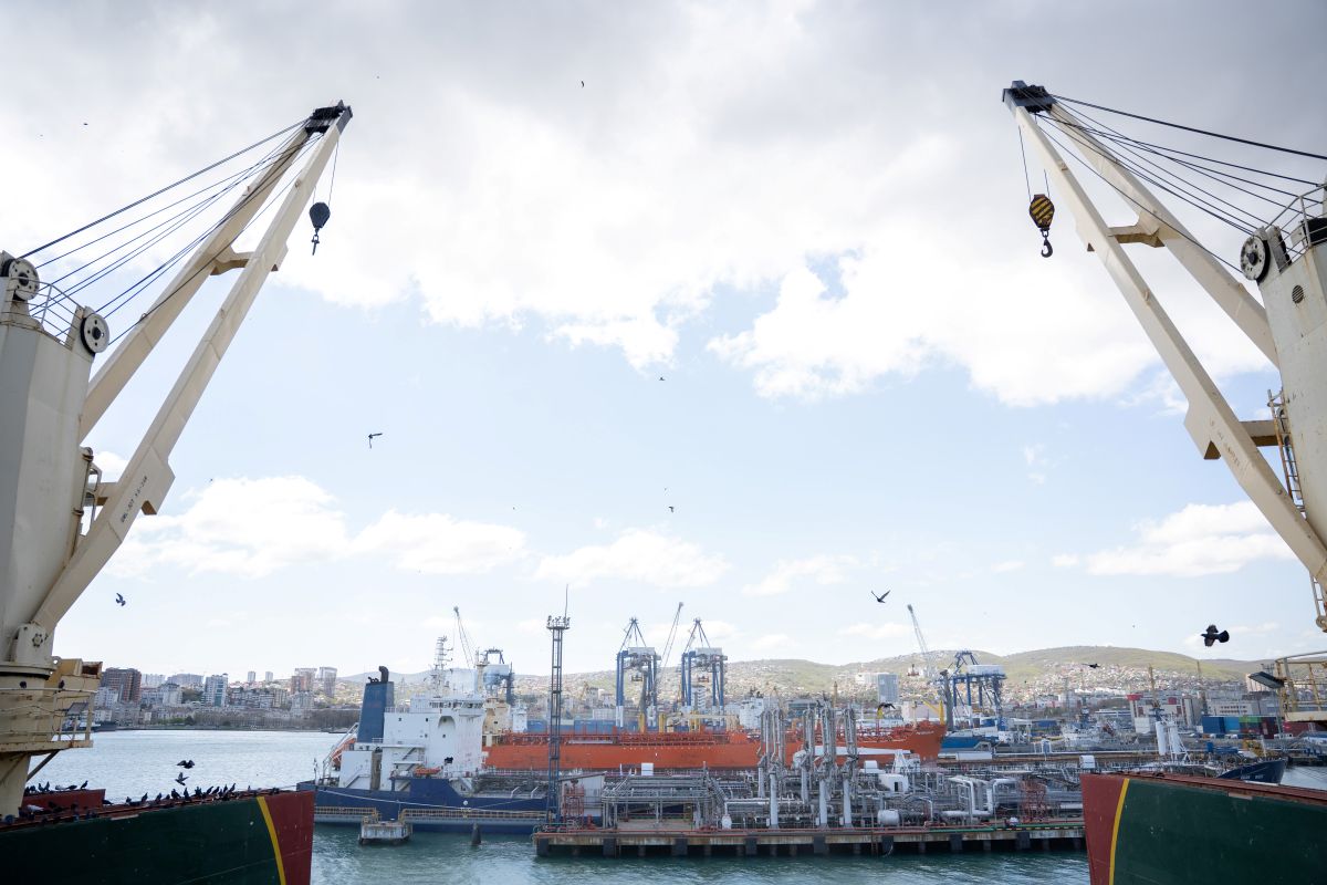 Фото: Александр Плонский / "Агроэксперт"