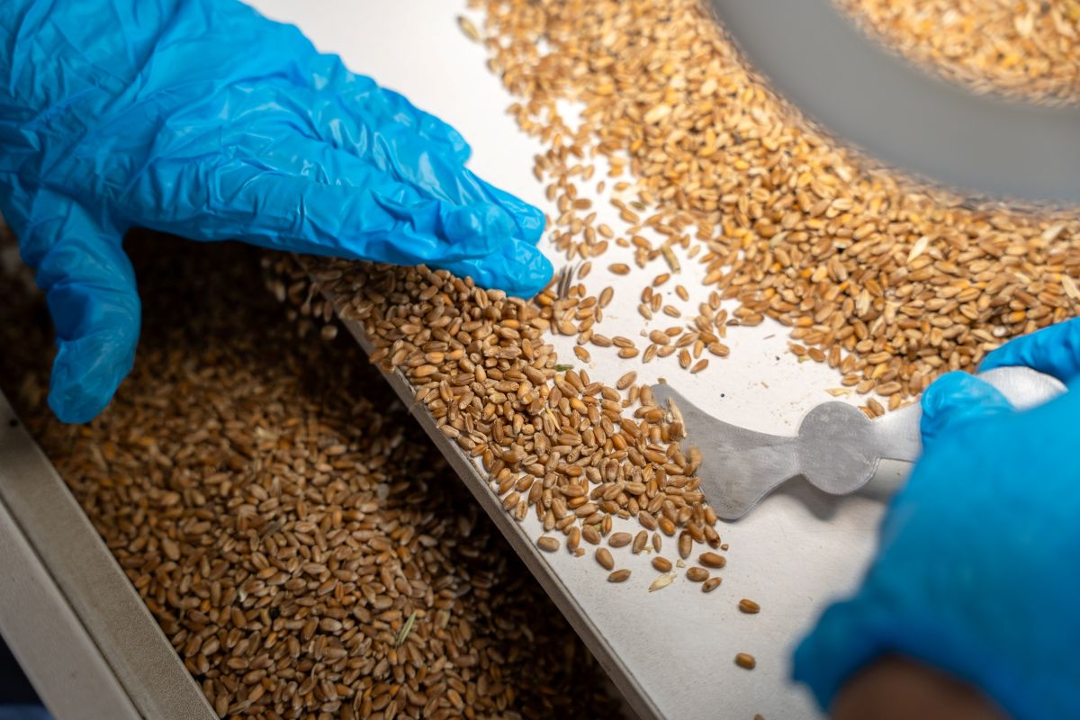 Фото: Александр Плонский / "Агроэксперт"