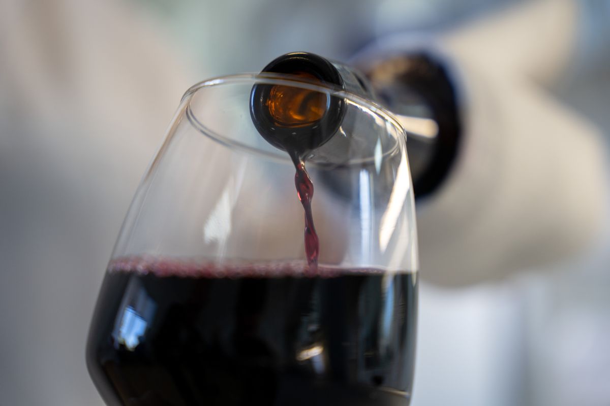 Фото: Александр Плонский / "Агроэксперт"