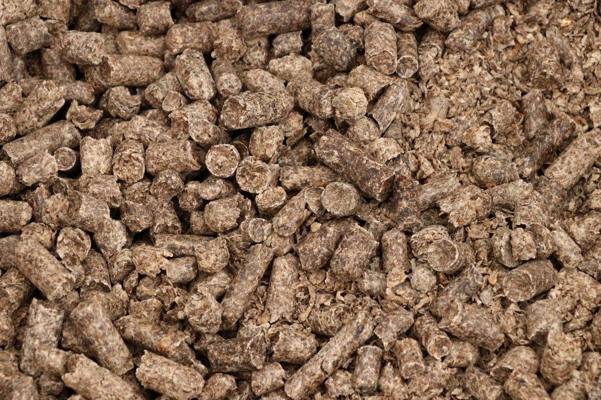 Фото: pedrojperez / 	GettyImages