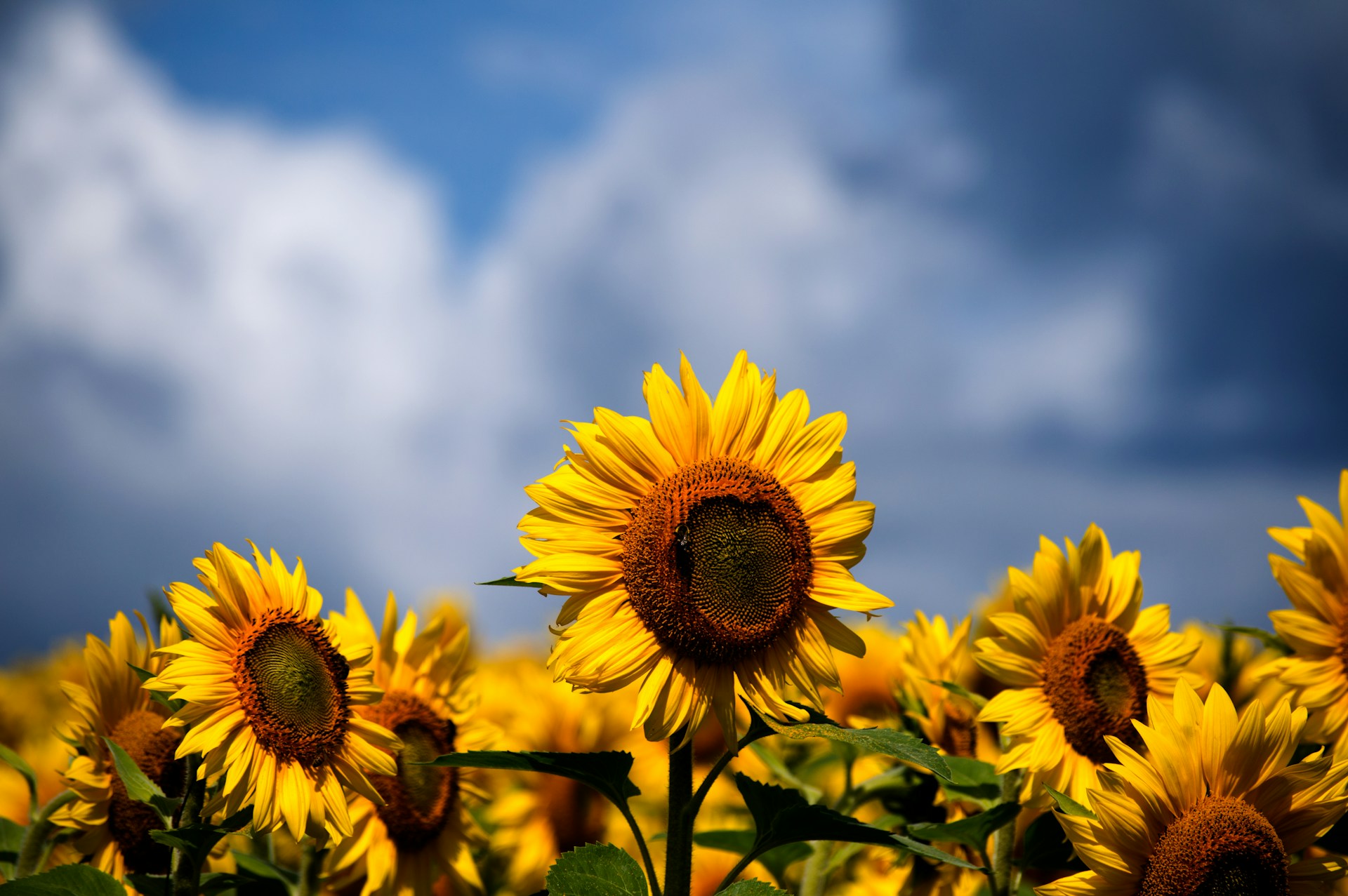 Фото: justin-casey / unsplash