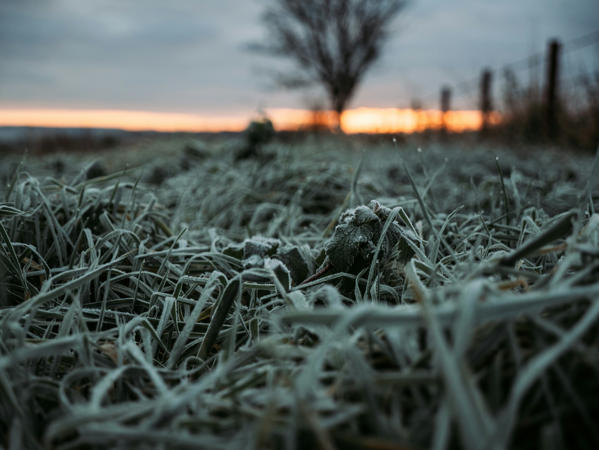 Фото: matt-seymour / unsplash