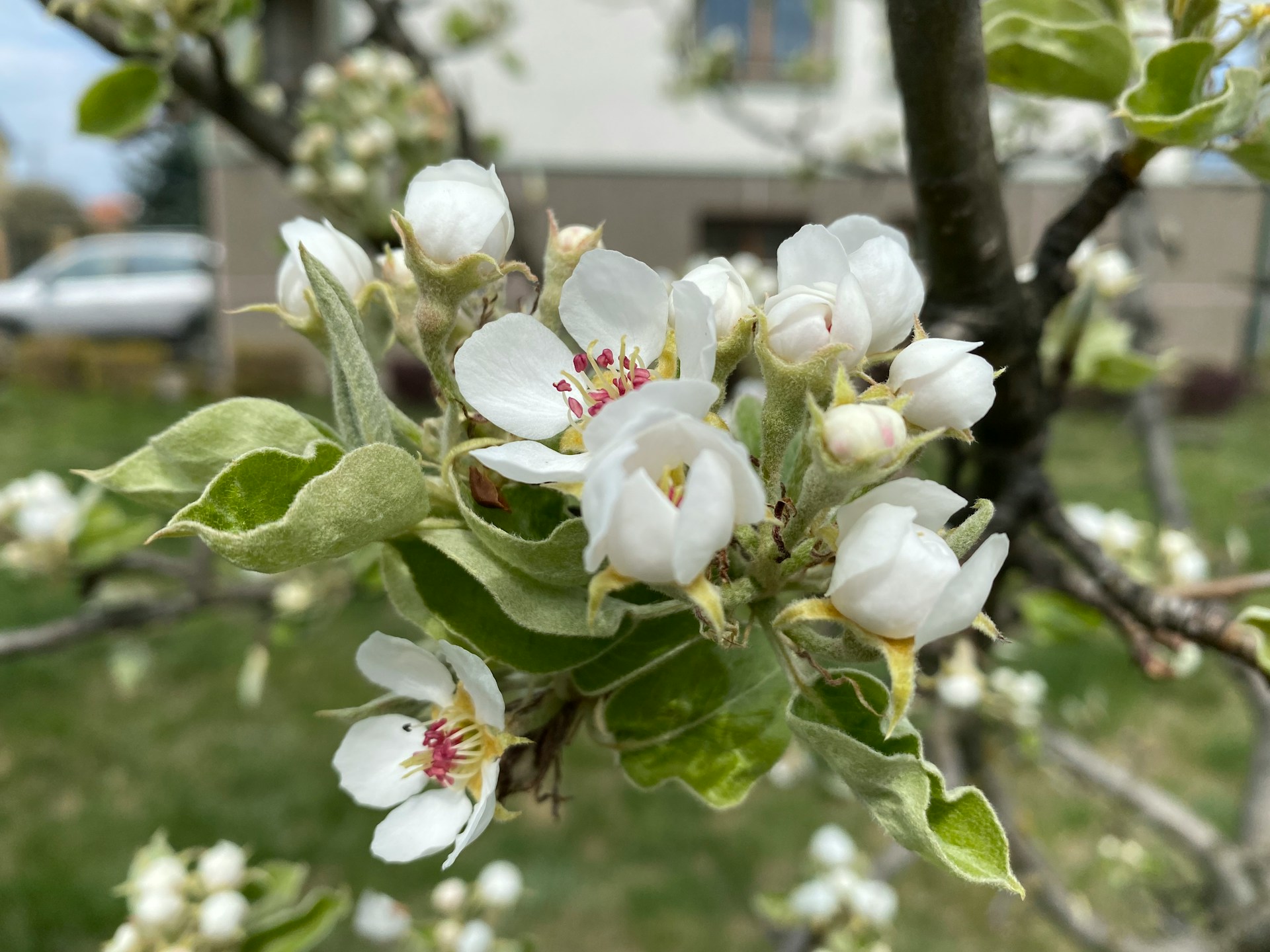 Фото: sophie-p / unsplash