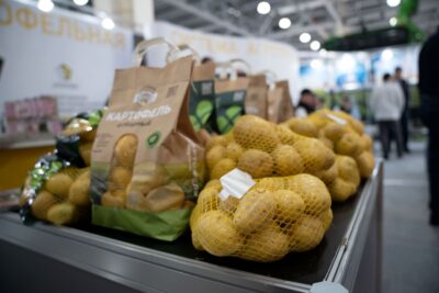 Картофель в России начал дешеветь