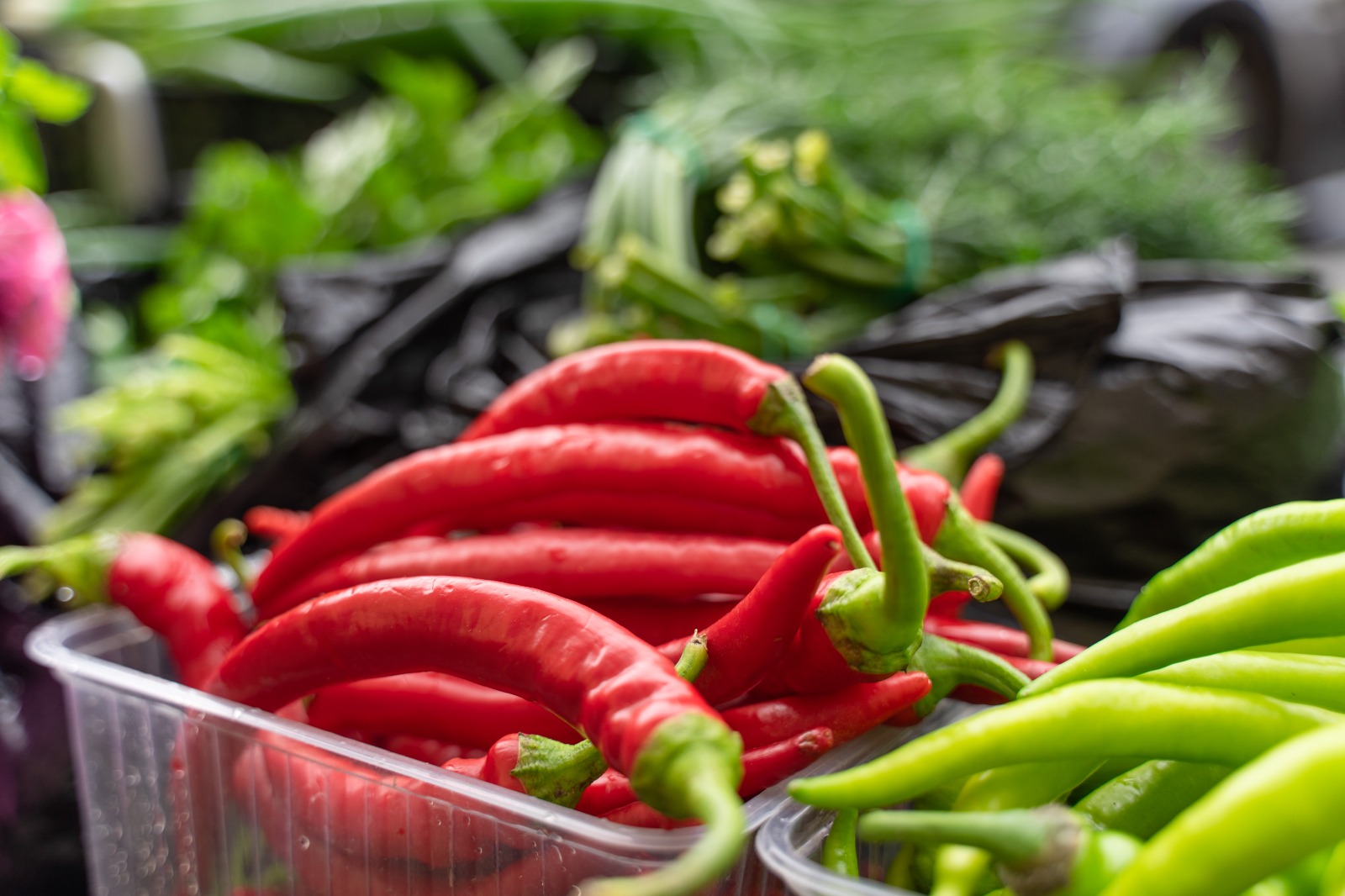 Фото: Александр Плонский / "Агроэксперт"