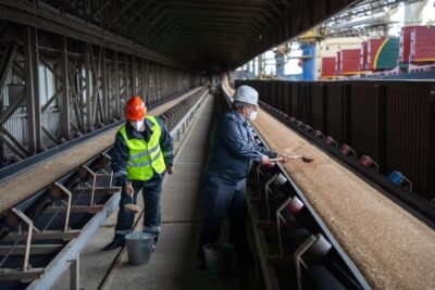 Ростовская область увеличила экспорт зерновой продукции на 27% с начала года