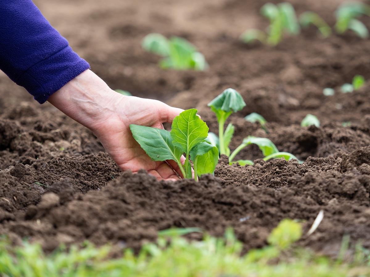 Фото: Александр Плонский / "Агроэксперт"