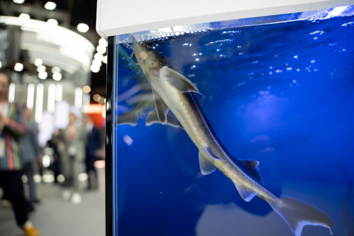 Фото: Александр Плонский / "Агроэксперт"