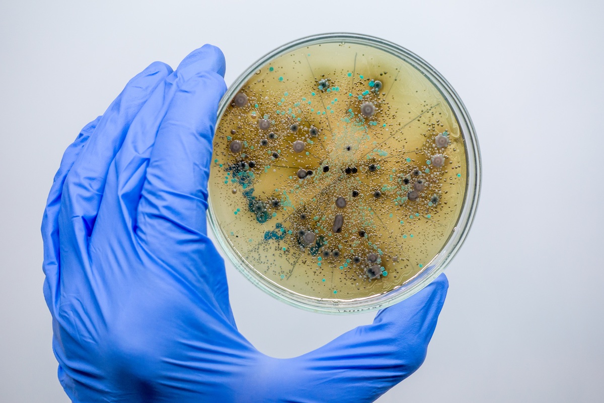 Фото: shutterstock Prrrettty