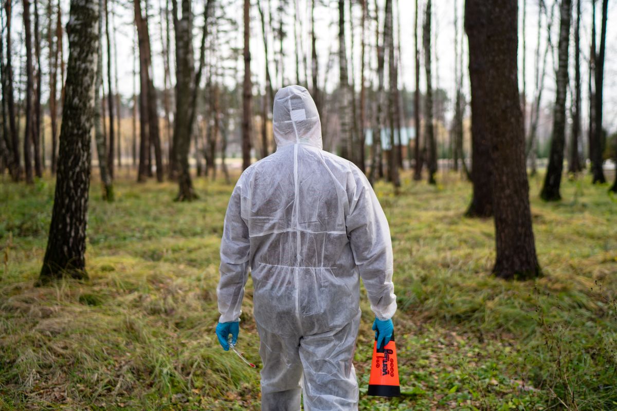 Фото: Александр Плонский / «Агроэксперт»