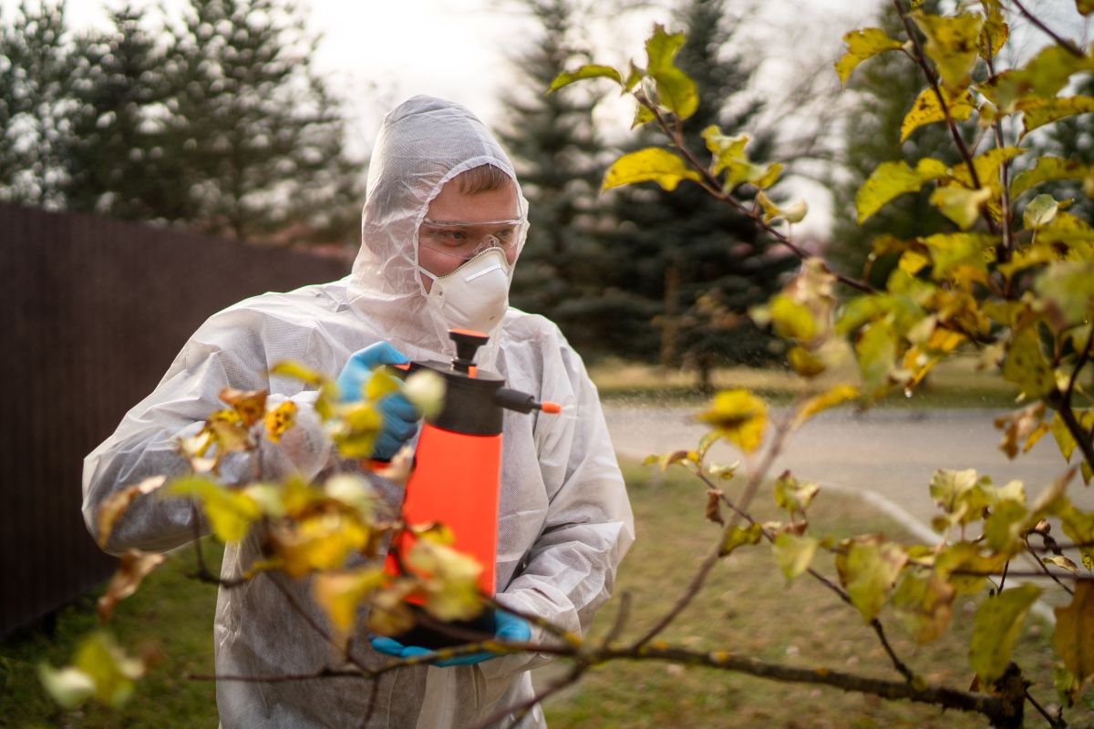 Фото: Александр Плонский / «Агроэксперт»