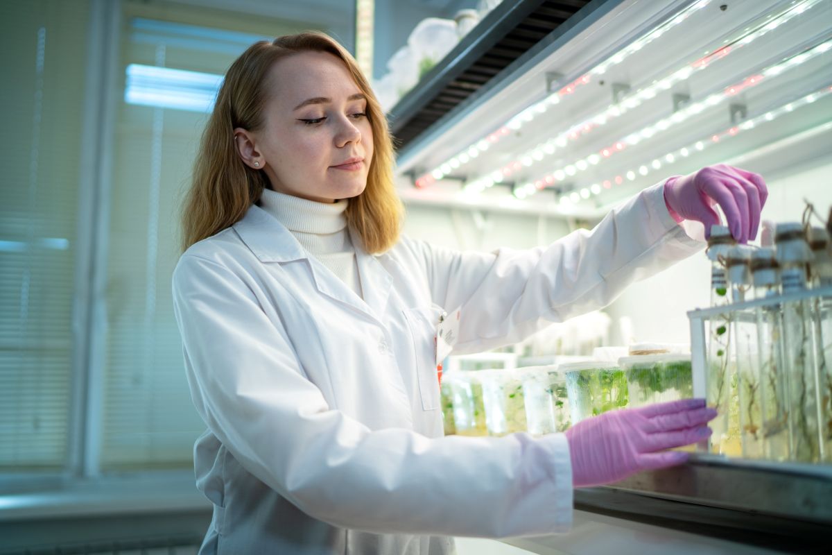 Фото: Александр Плонский / «Агроэксперт»