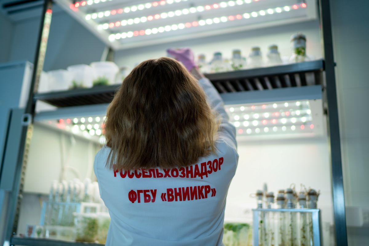 Фото: Александр Плонский / «Агроэксперт»