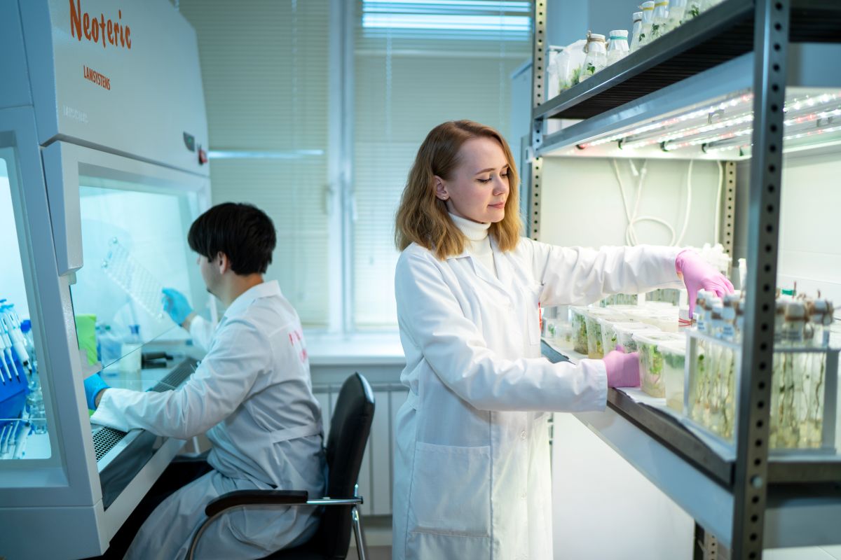 Фото: Александр Плонский / «Агроэксперт»